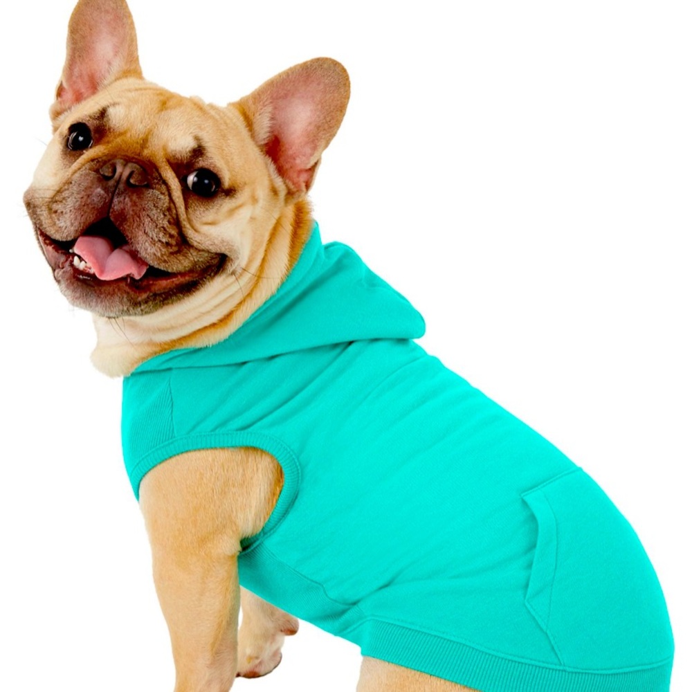 Frisco Dog Hoodie from Chewy